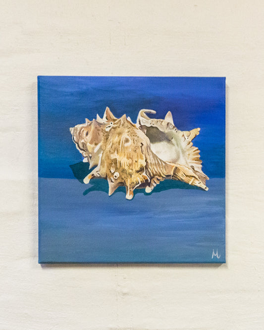 Konkylie (30 x 30 cm)